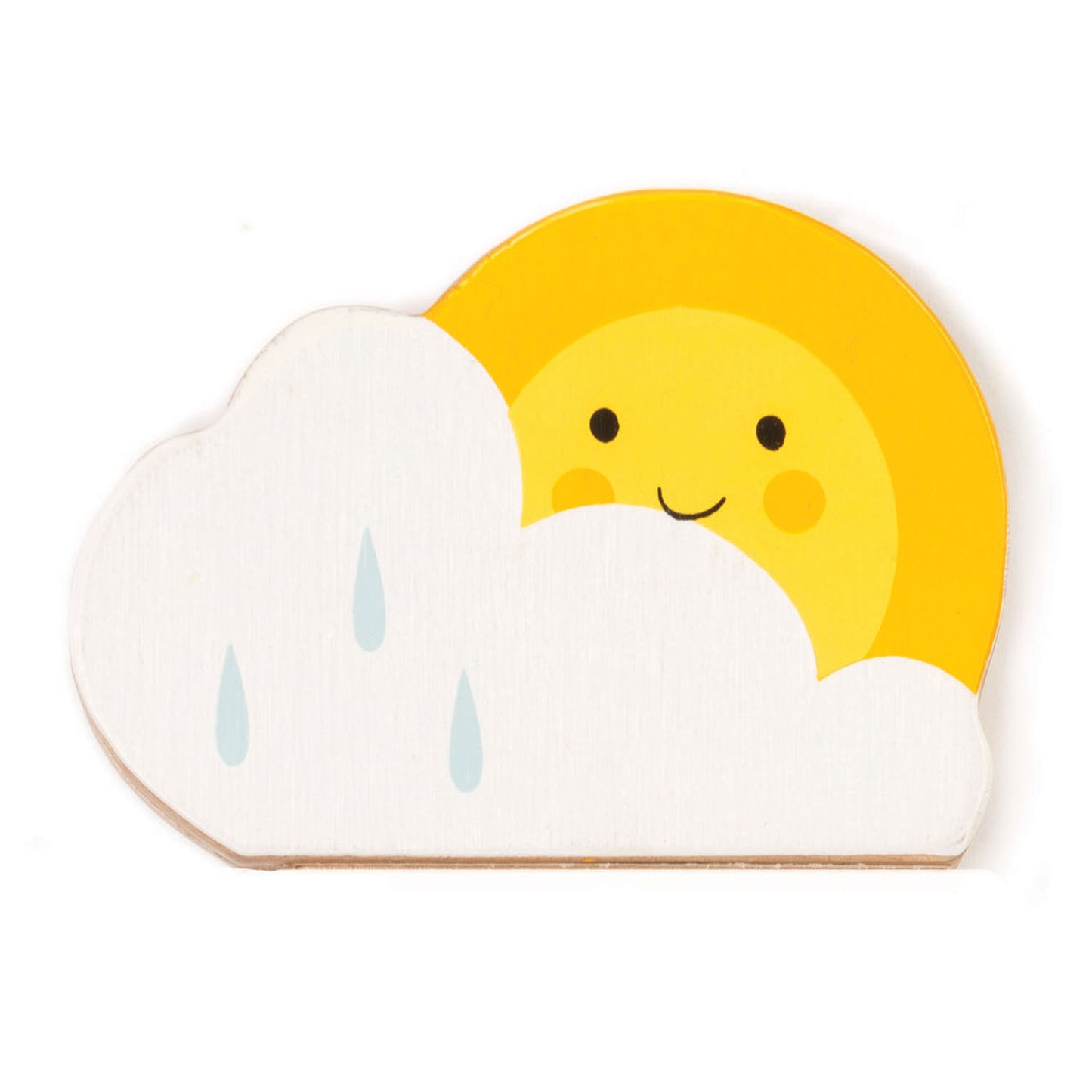 Tender Leaf Toys Rainmaker