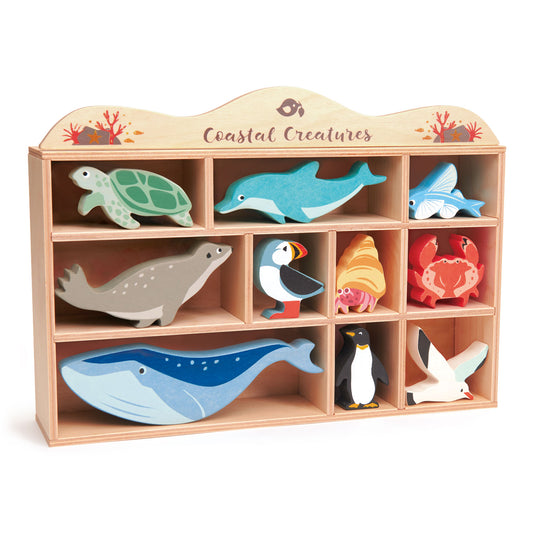 Tender Leaf Coastal Creatures - 10 Coastal Creatures in a display shelf